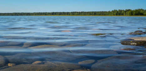 A scenic nature view