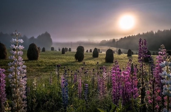 A scenic nature view